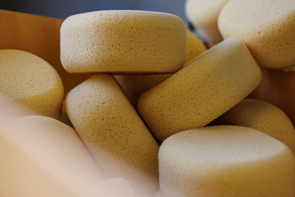 Sponge