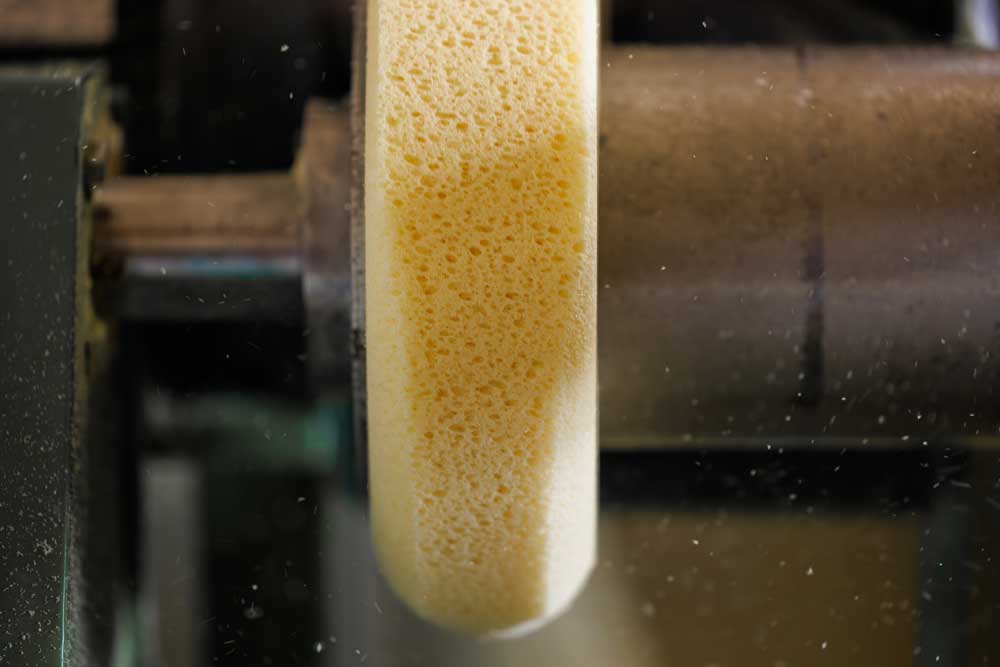 Sponge